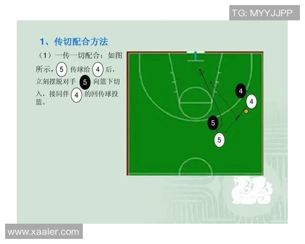 杭州篮球队防守策略解析深入探讨球队战术与球员配合