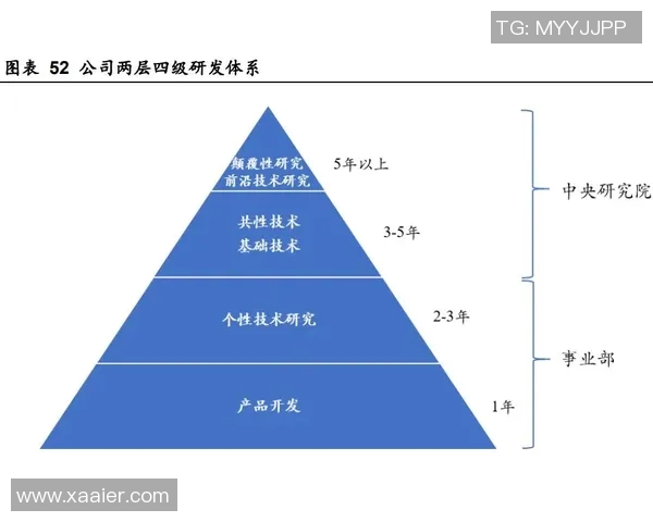 杭州篮球队技术分析与战术创新的深度探讨与展望