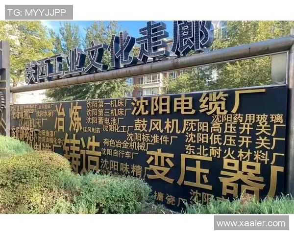 武汉篮球队的蜕变之旅总决赛特别报道见证辉煌与挑战的交织