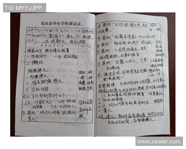 深度对话杨强：从排球场到人生舞台的奋斗与成长之路