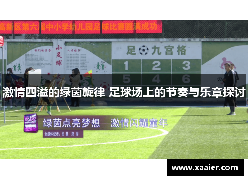 激情四溢的绿茵旋律 足球场上的节奏与乐章探讨