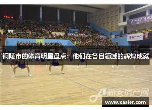 铜陵市的体育明星盘点：他们在各自领域的辉煌成就