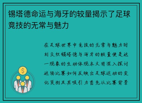 锡塔德命运与海牙的较量揭示了足球竞技的无常与魅力